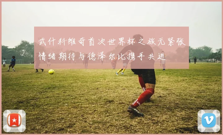 武什科维奇首次世界杯之旅无紧张情绪期待与德泽尔比携手共进